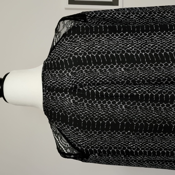 Dex 3/4 Sleeve Snakeskin Top with Lace Detail - Picture 5 of 8